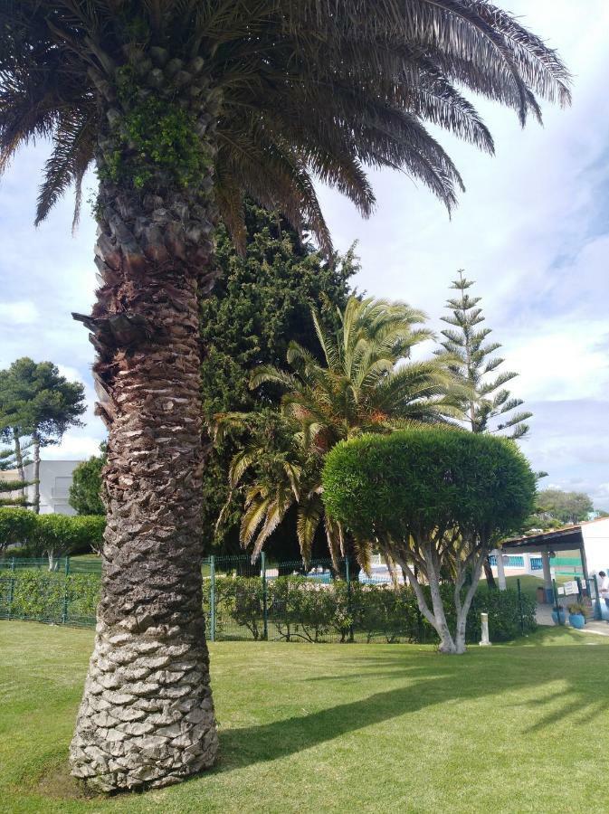 Dalia'S House Porches (Algarve) Exterior foto